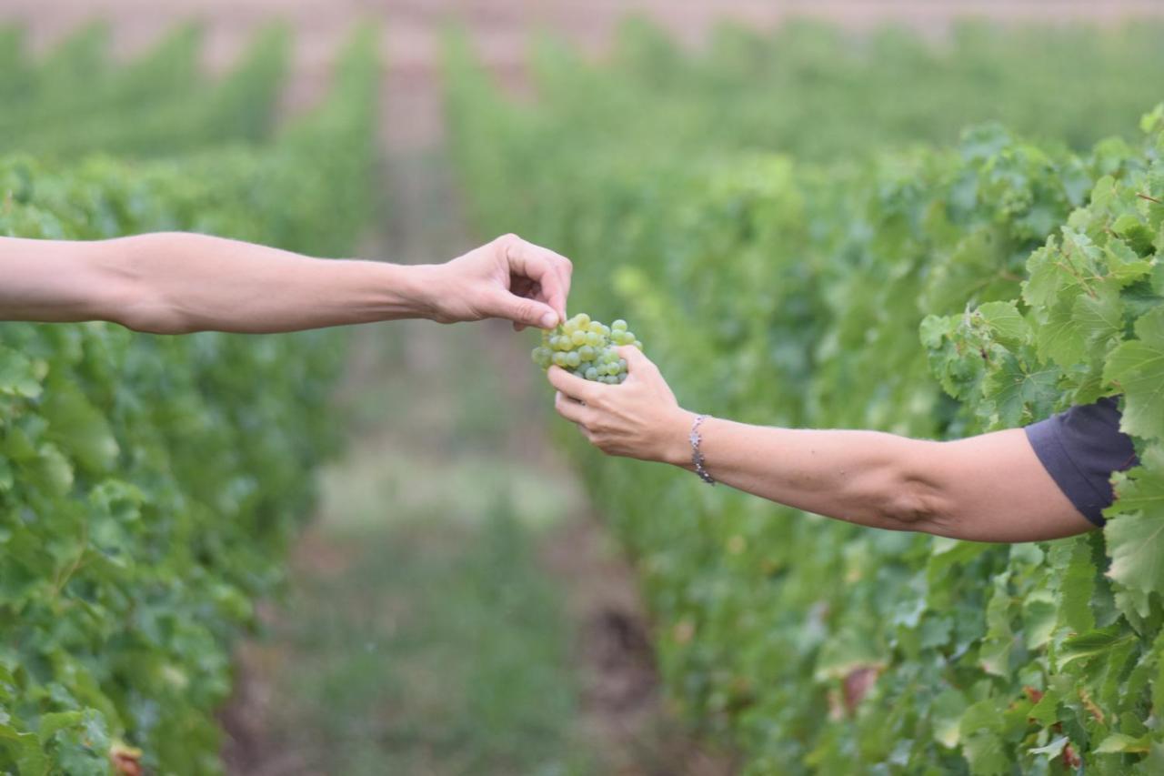 Fronsac シャトー リシュリュー Bed & Breakfast エクステリア 写真